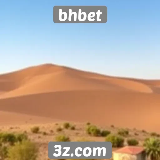 feedback dos usuários sobre o atendimento ao cliente da bhbet